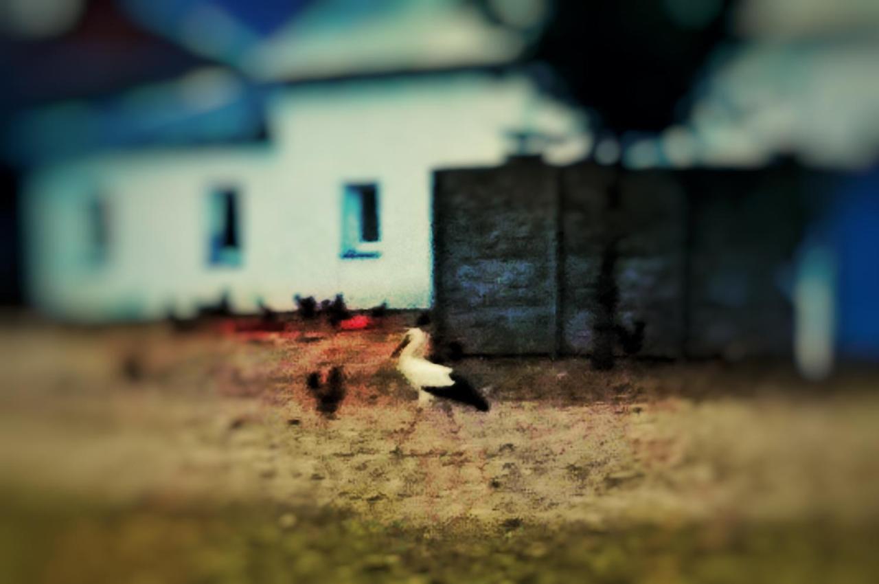Home&Slow Life Gdańsk Kültér fotó